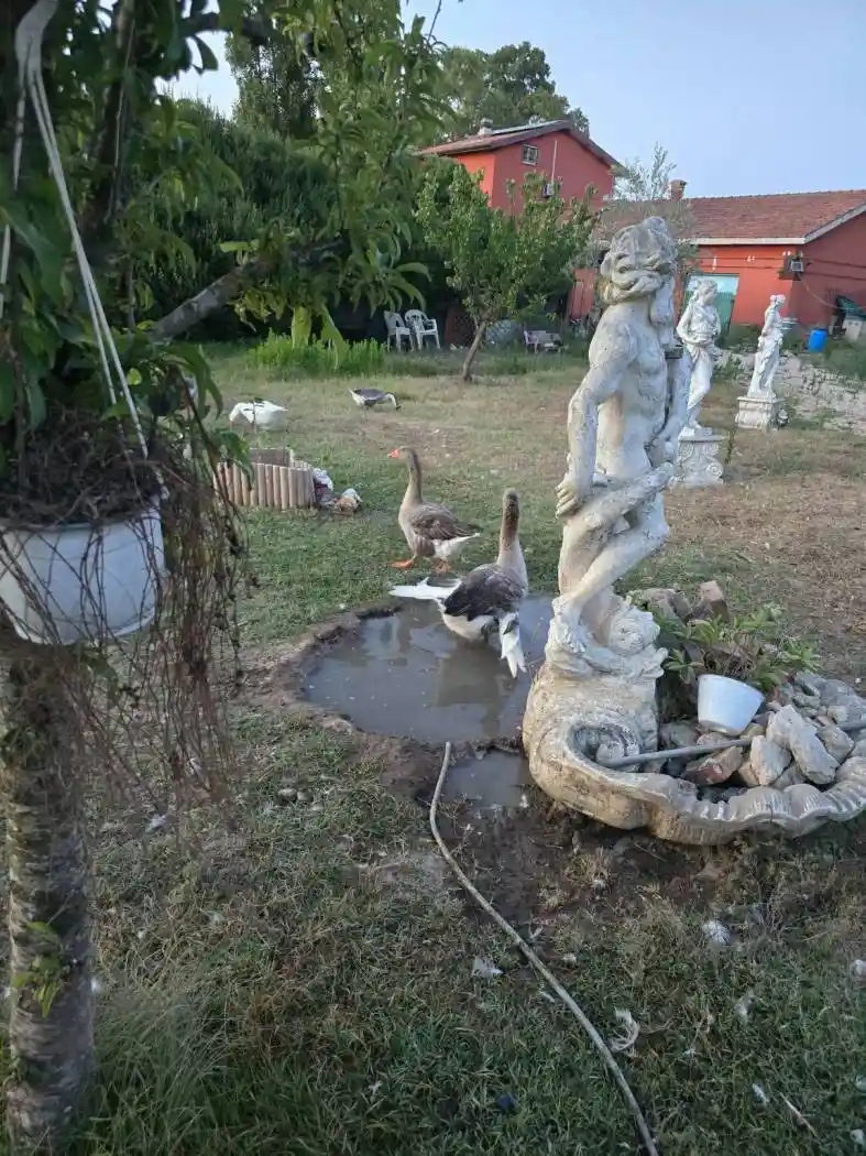 Rustico - Casale in vendita a Latina