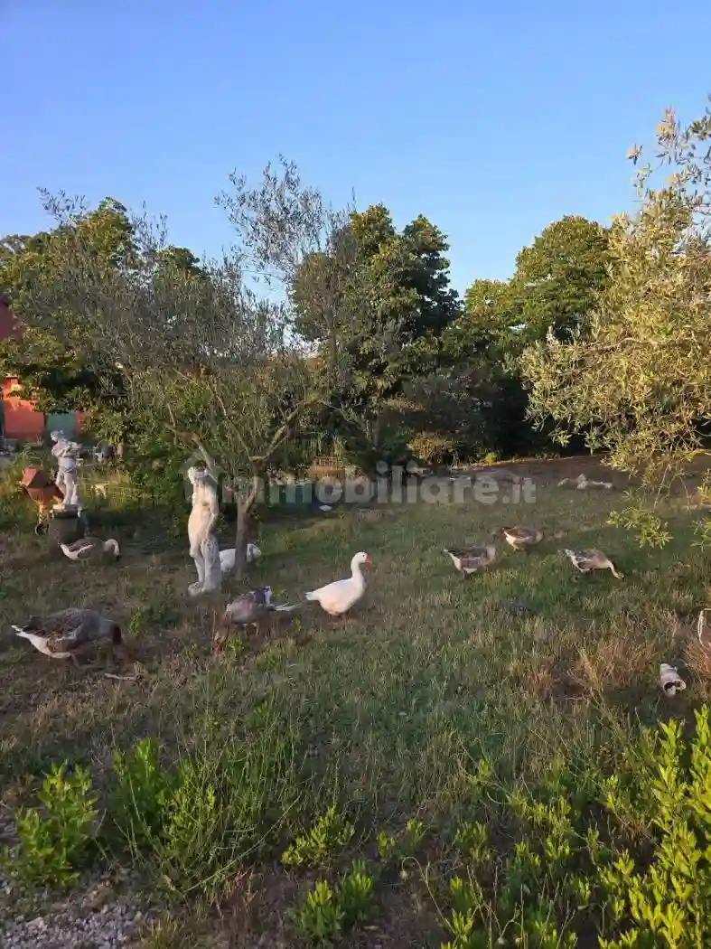 Casa colonica Strada Piano Rosso, Montello - Ferriere, Latina - foto 4