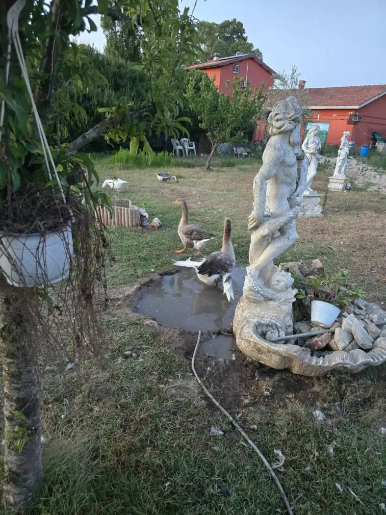 Rustico - Casale in vendita a Latina