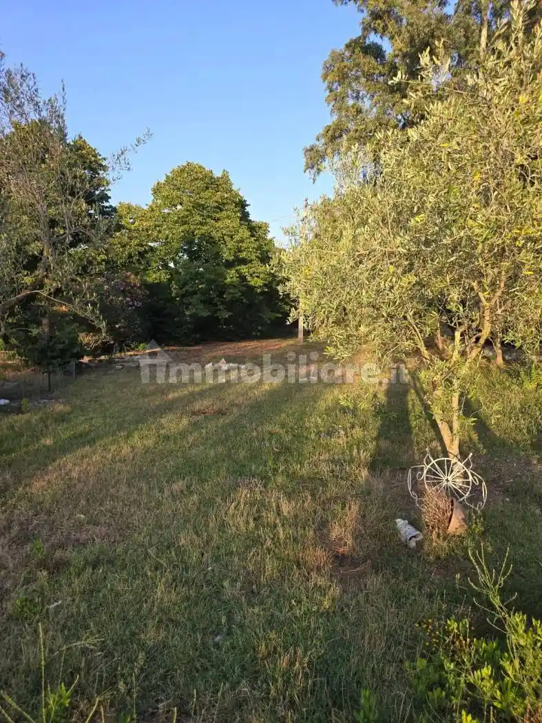 Casa colonica Strada Piano Rosso, Montello - Ferriere, Latina - foto 5