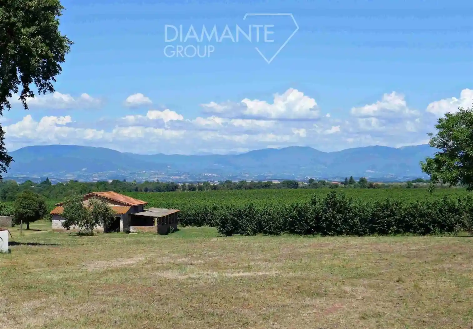 Rustico - Casale in vendita a Castel Sant'Elia