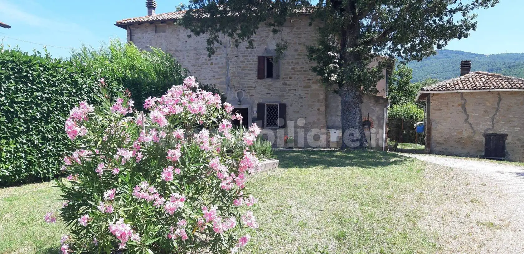 Rustico - Casale in vendita a Monzuno