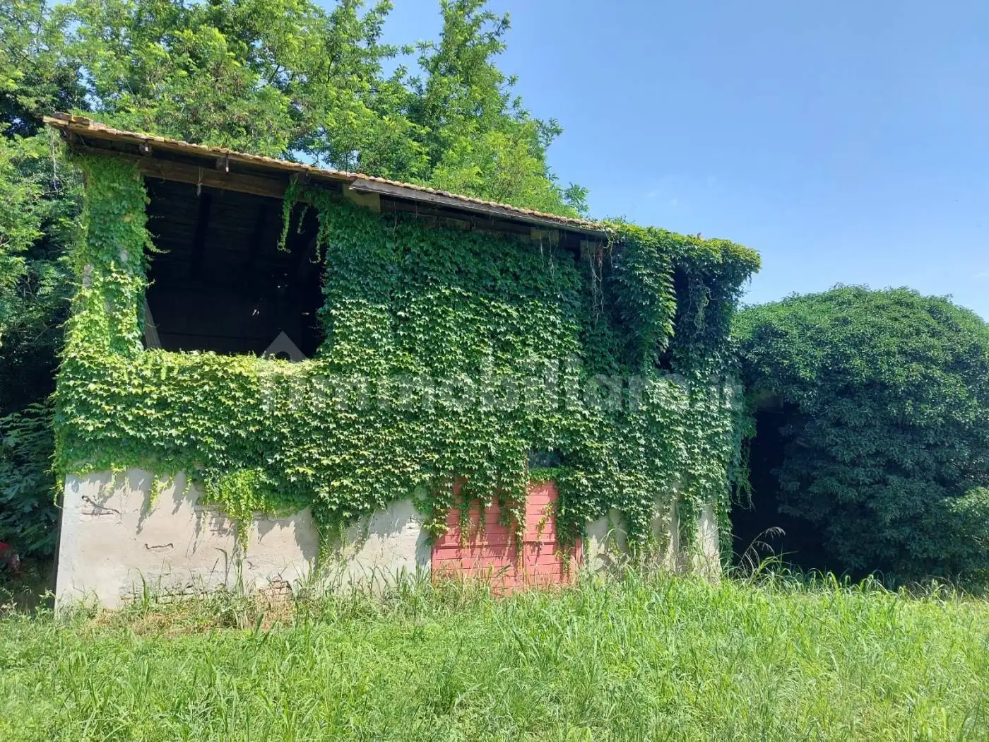 Rustico - Casale in vendita a Molinella