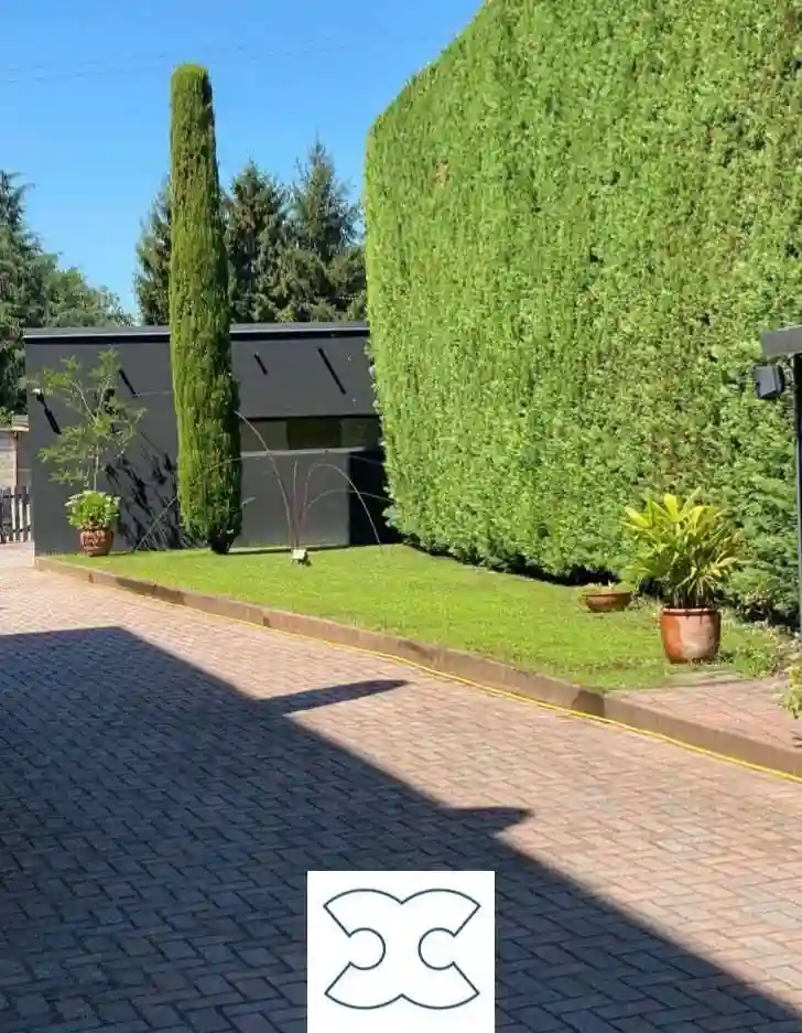 Palazzo - Edificio - foto 4