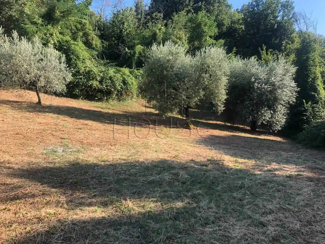 Rustico - Casale in vendita a Monte Santa Maria Tiberina