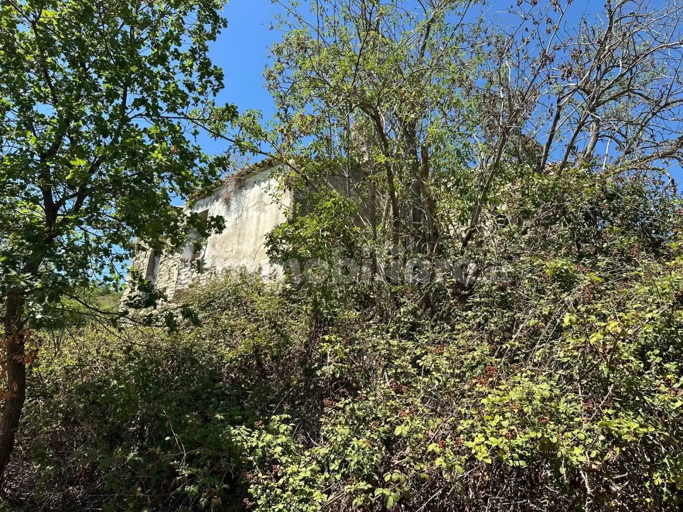 Rustico Contrada Pretaglione, Civitella Casanova - foto 5