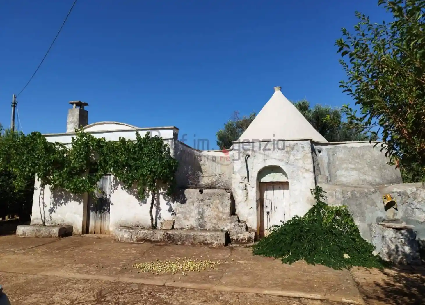 Rustico - Casale in vendita a San Vito dei Normanni