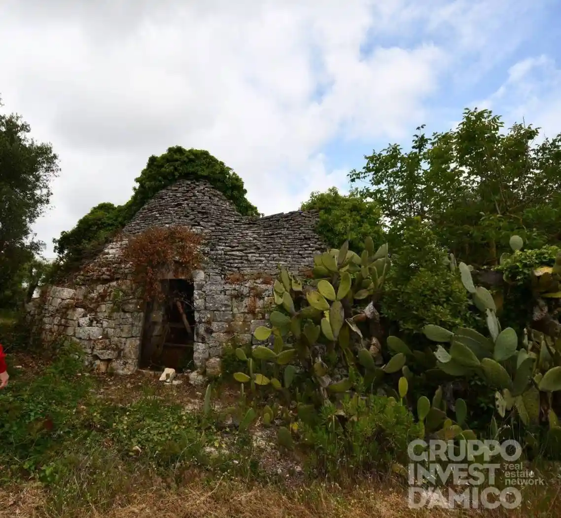 Rustico - Casale in vendita a Cisternino