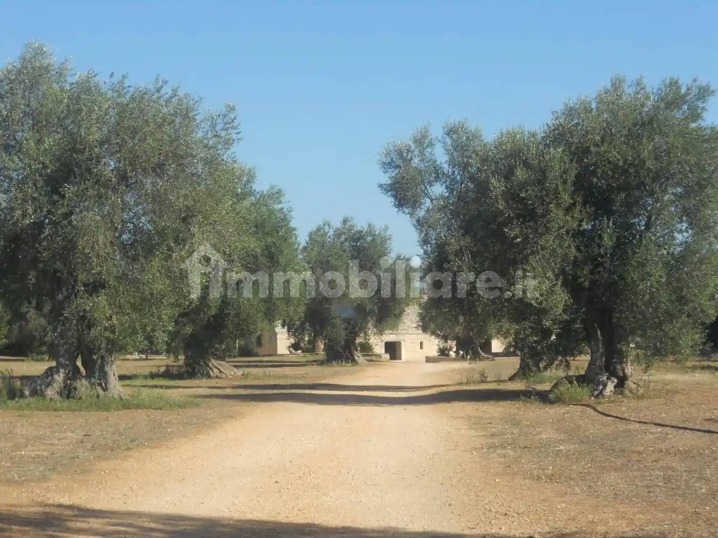 Villa in vendita a Bitonto