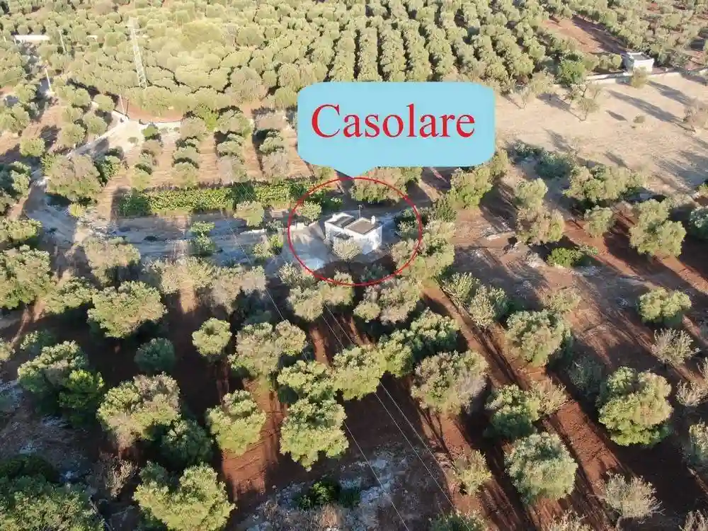 Rustico - Casale - foto 2