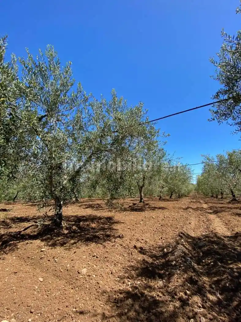 Villa unifamiliare Sp154 snc, Pisticci - foto 2