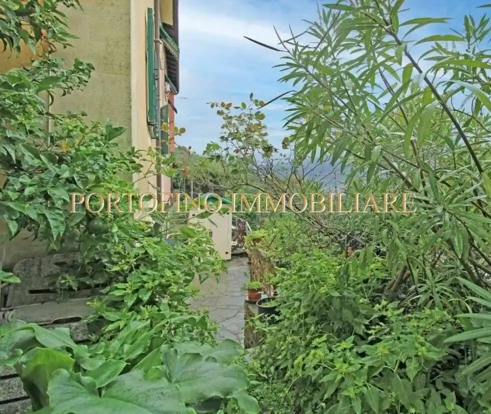 Trilocale via Franco Molfino, San Rocco, Camogli - foto 3