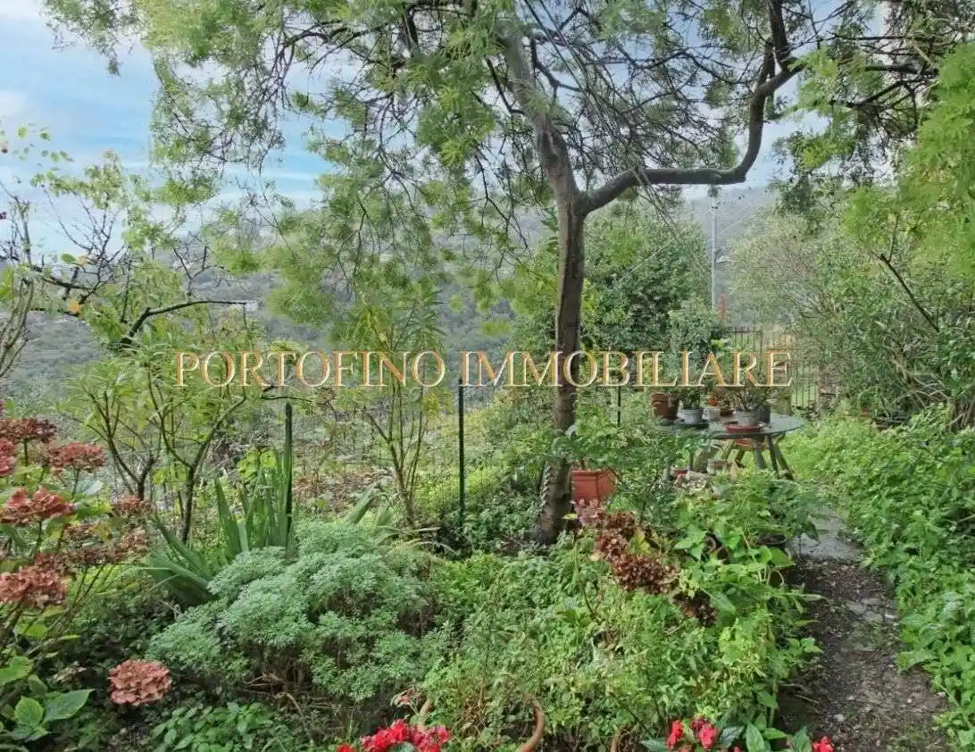 Trilocale via Franco Molfino, San Rocco, Camogli - foto 5