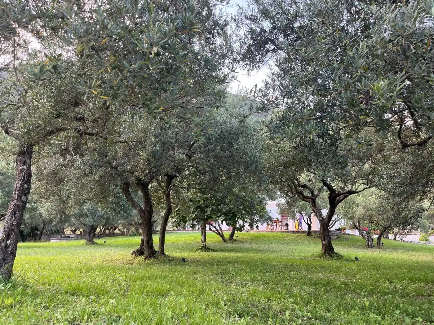 Villa unifamiliare Contrada San Basile 7, Maratea - foto 4