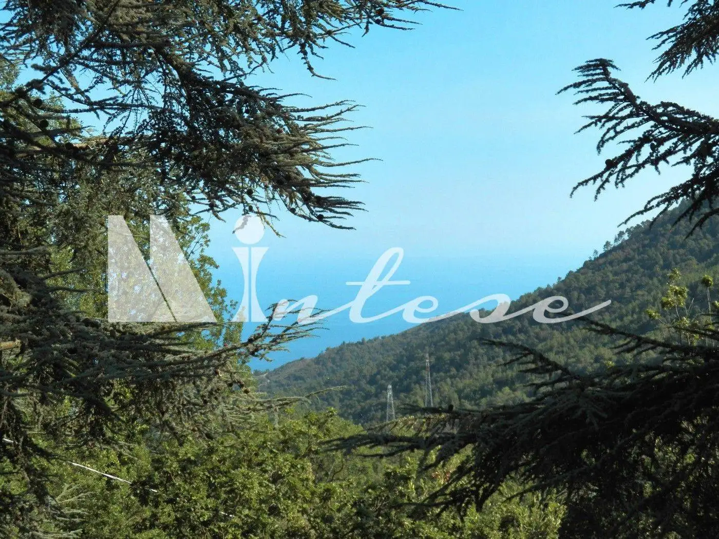 Villa in vendita a Sanremo