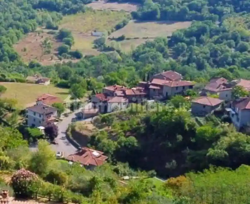 Appartamento in affitto a Ortignano Raggiolo