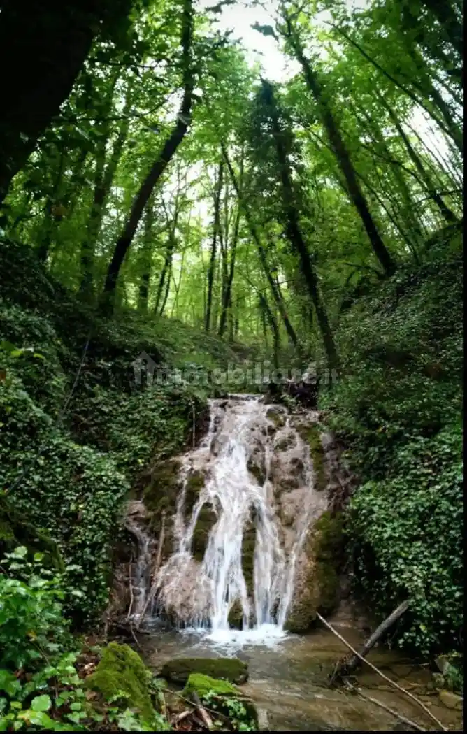 Rustico - Casale in vendita a Montieri