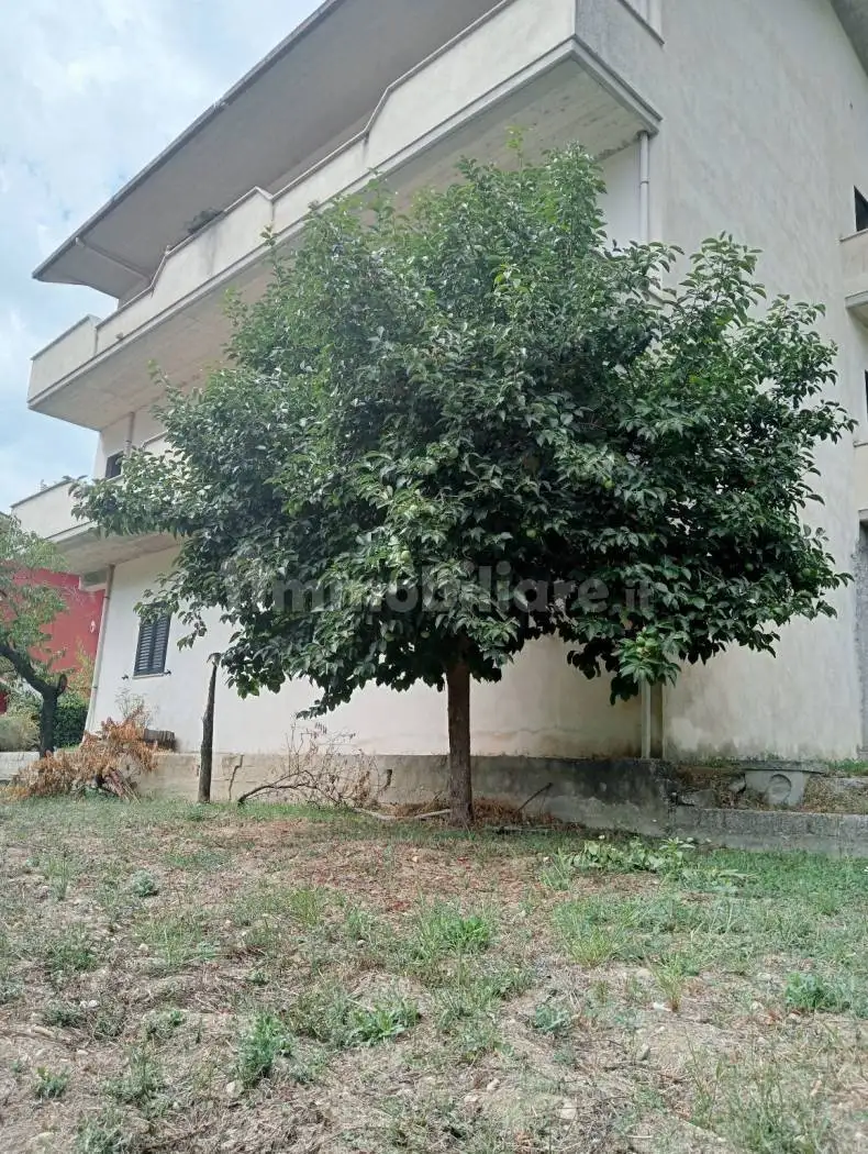 Casa indipendente in vendita a Morino