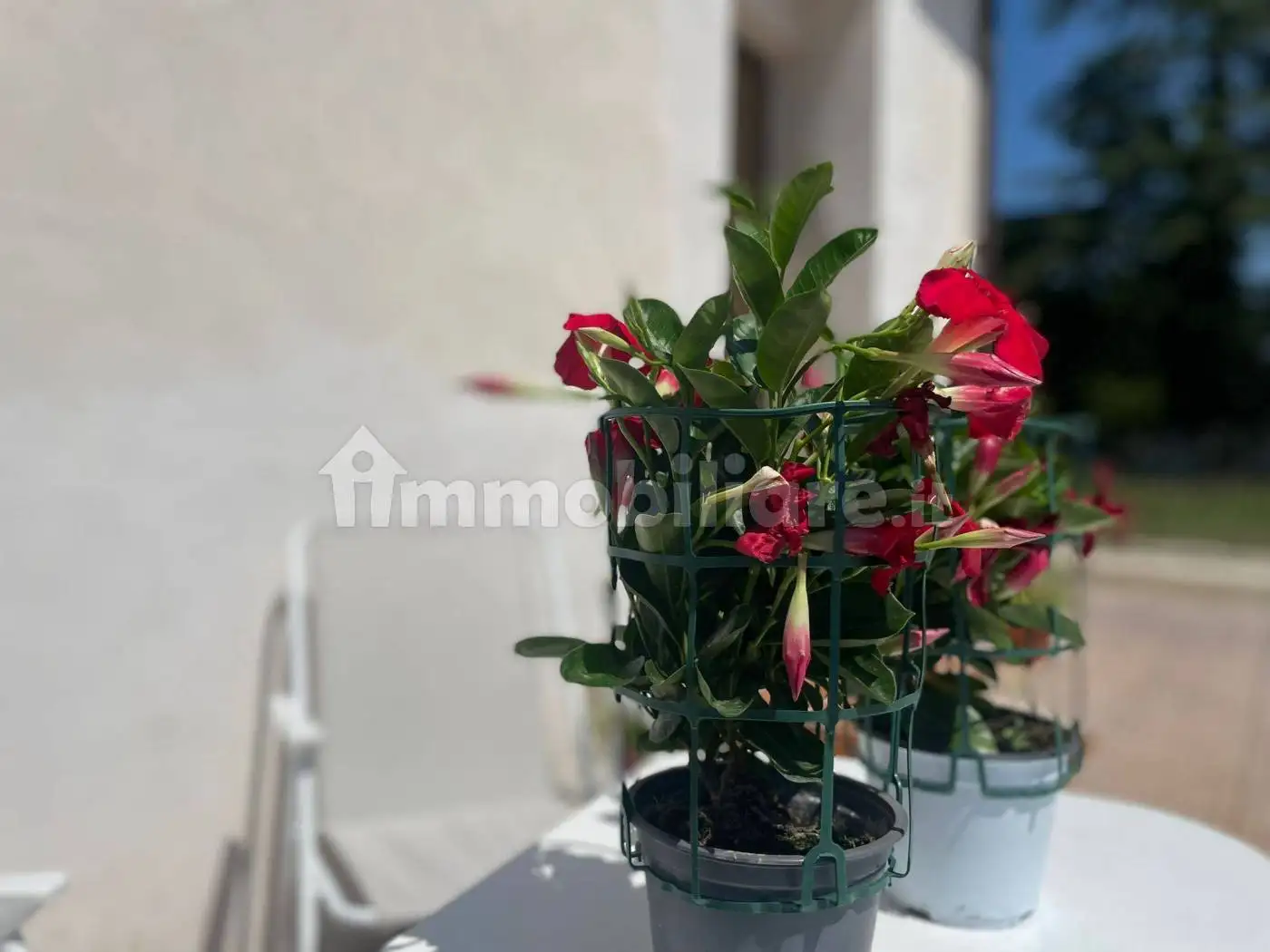 Terratetto unifamiliare via San Lorenzo 20, Castelliri - foto 4