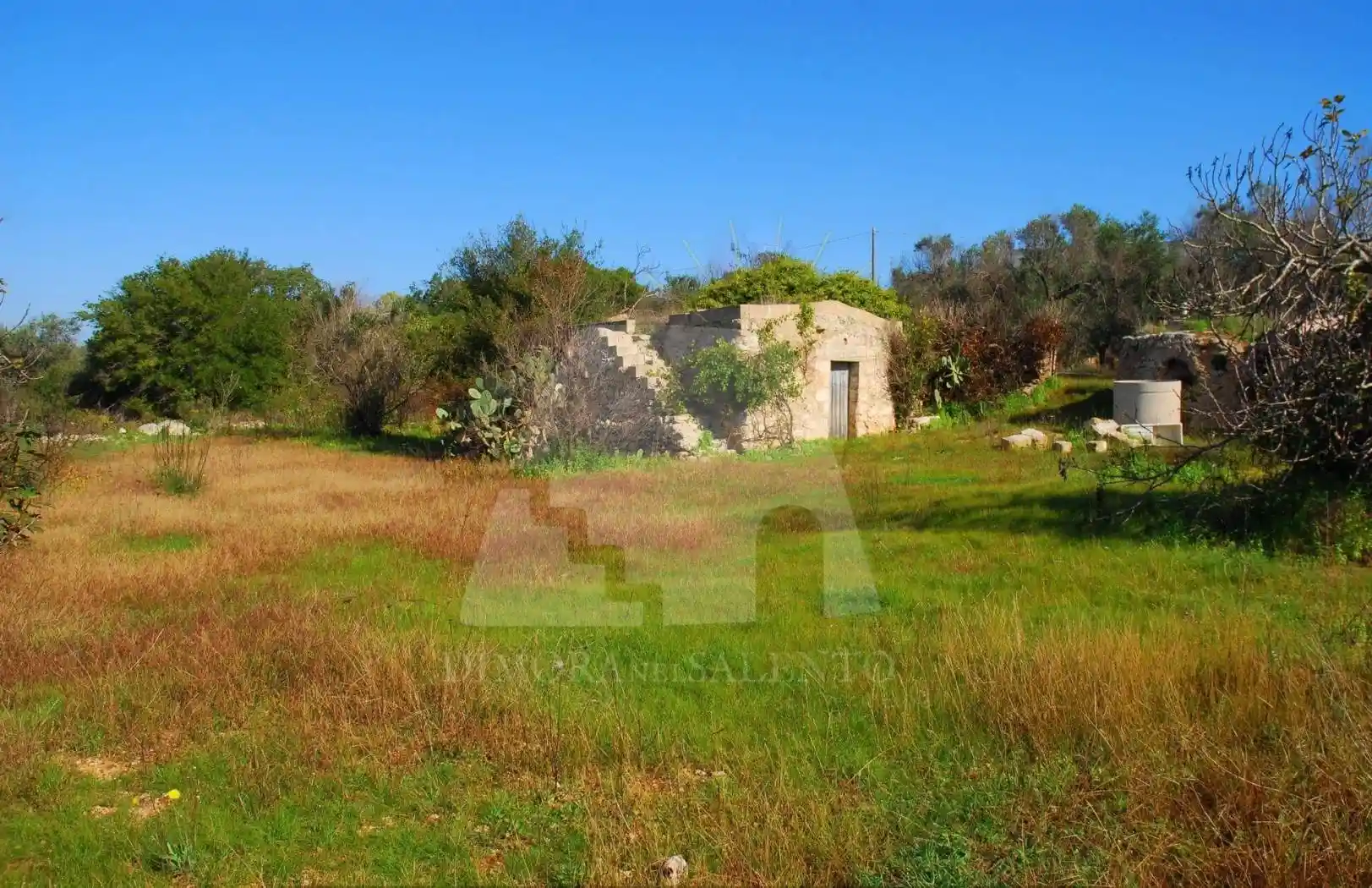 Rustico - Casale in vendita a Presicce-Acquarica