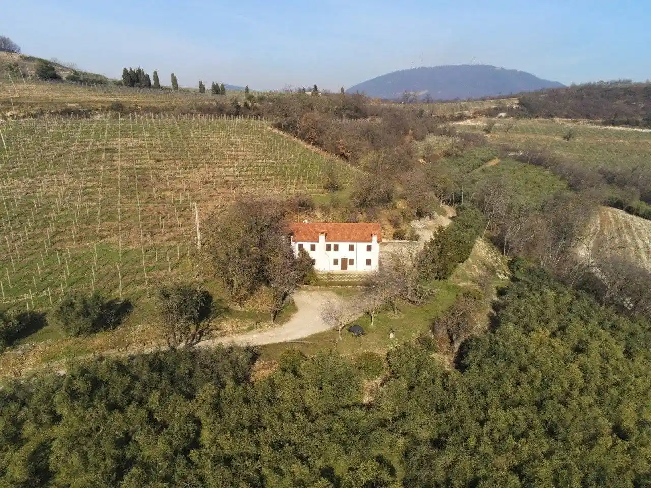 Villa in vendita a Cinto Euganeo