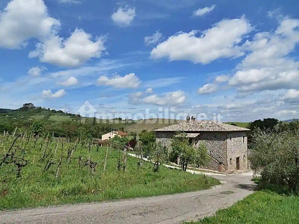 Rustico - Casale - foto 3