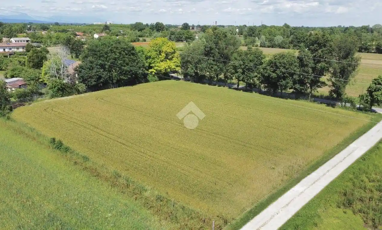 Villa in vendita a Piombino Dese