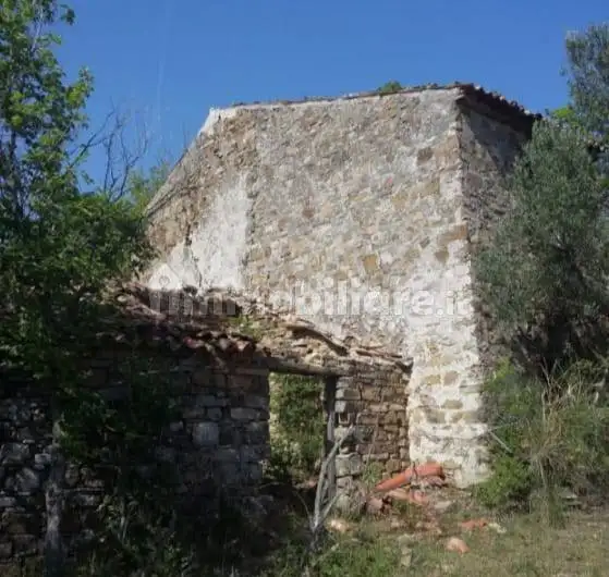 Rustico - Casale in vendita a Prignano Cilento