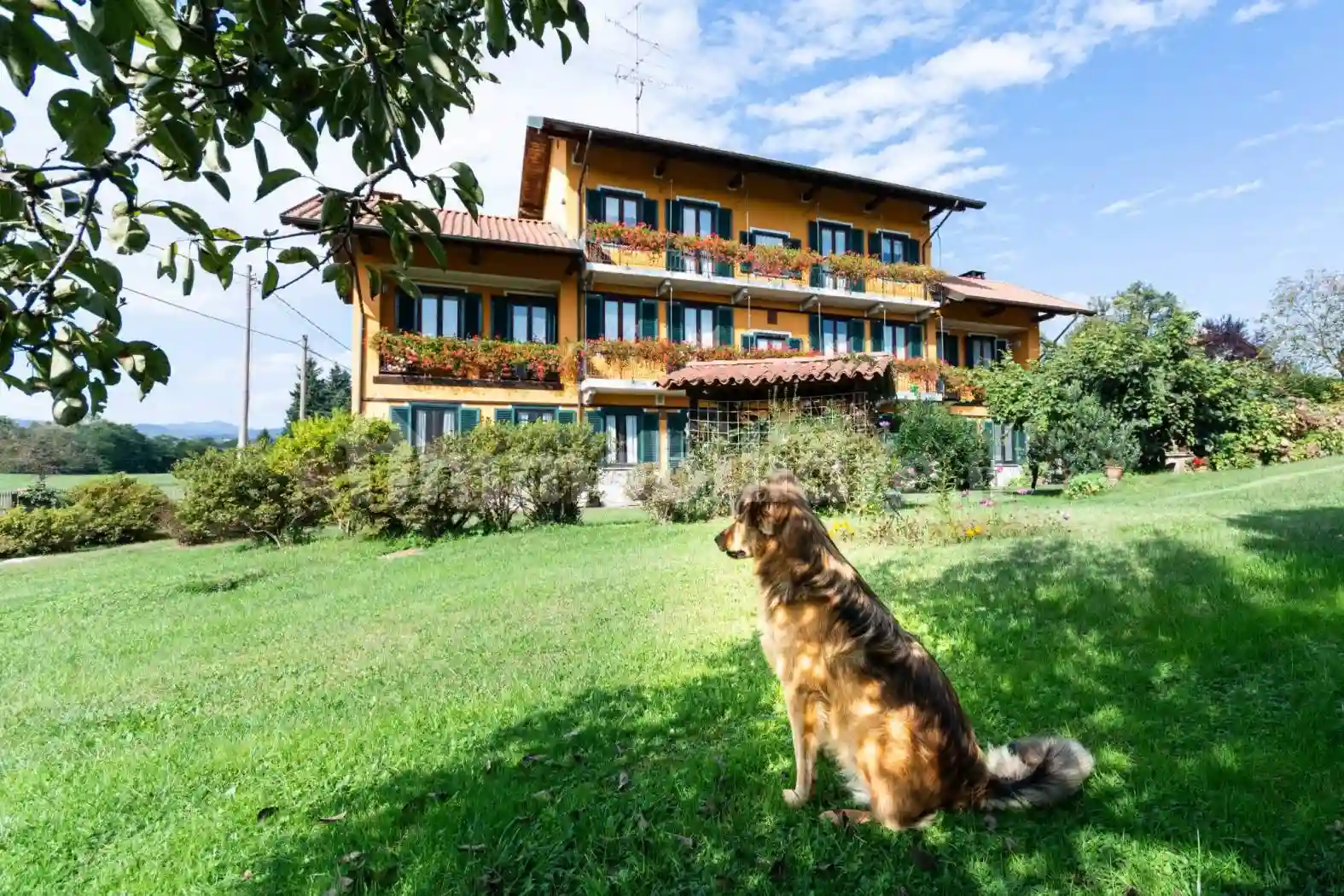 Rustico - Casale - foto 4