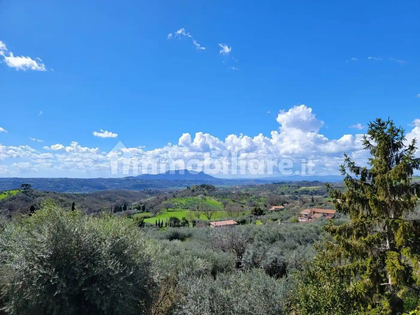 Appartamento in affitto a Poggio Mirteto