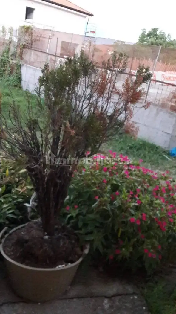 Casa indipendente in vendita a San Pietro al Tanagro