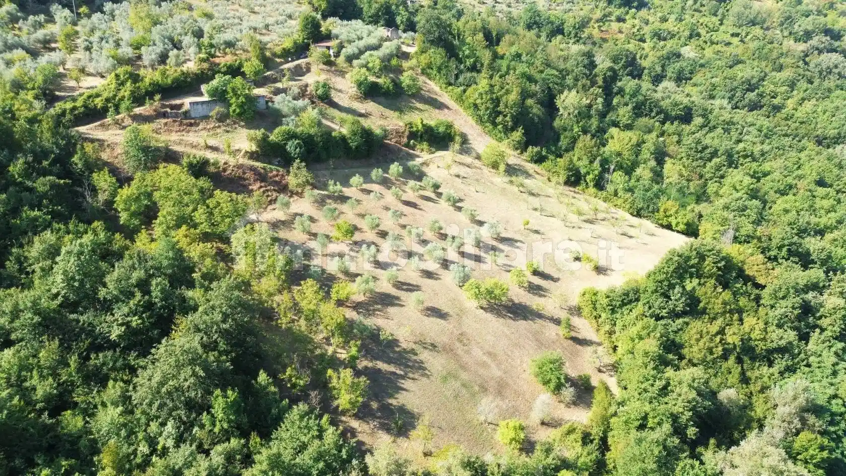 Rustico - Casale in vendita a Poggio Nativo