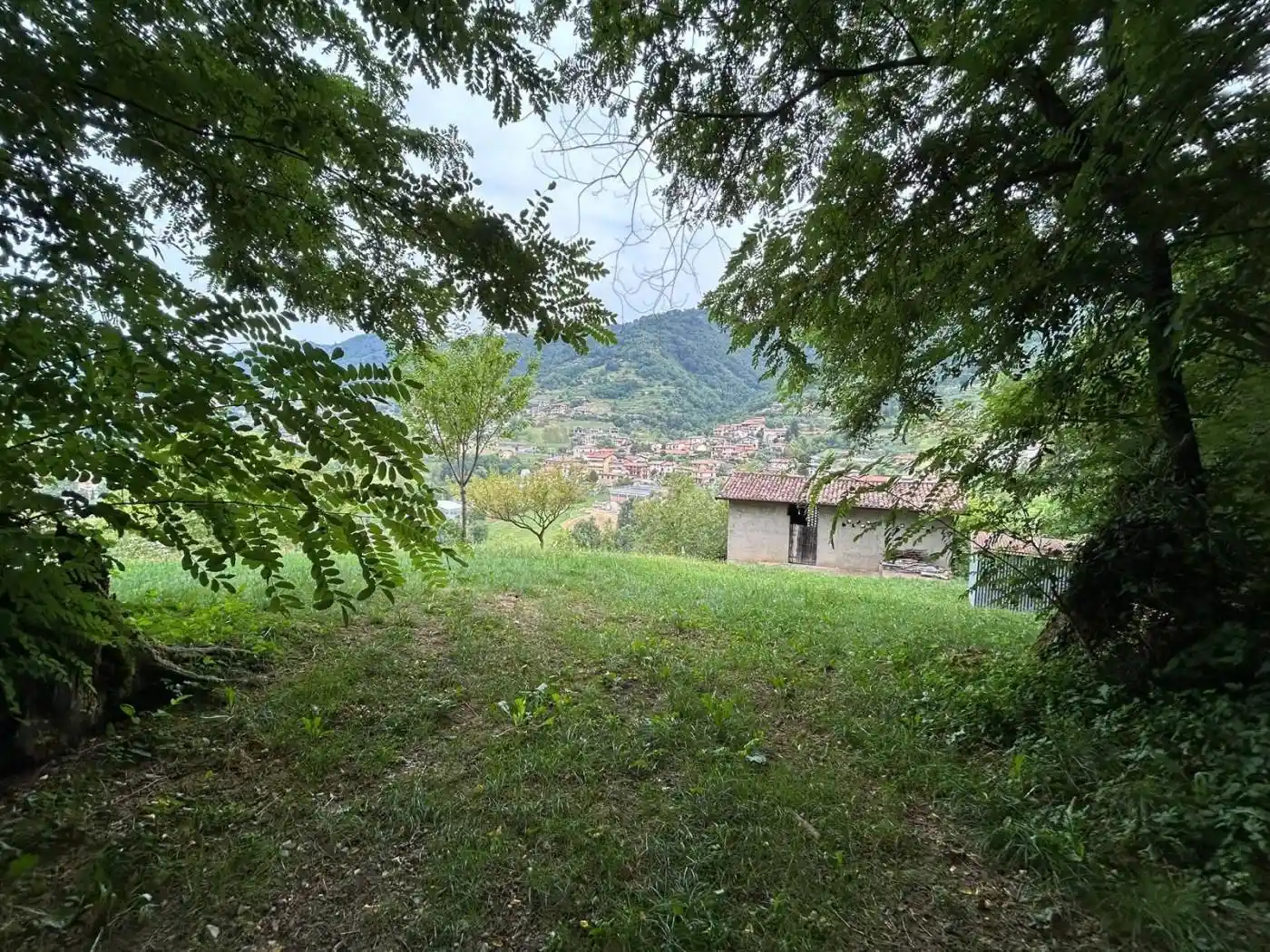 Rustico - Casale in vendita a Foresto Sparso