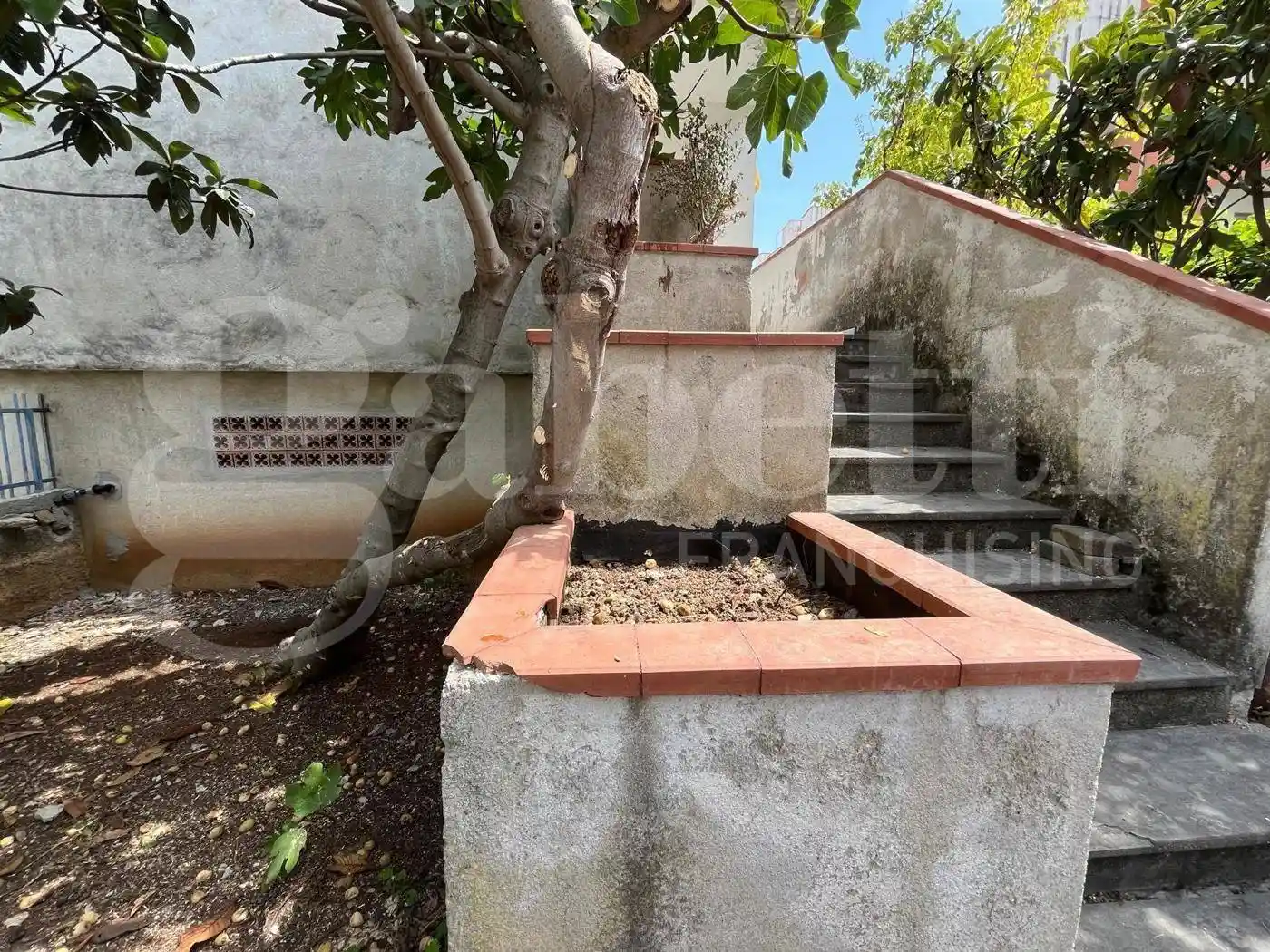 Trilocale via campo volo, 35, Campo Volo, Fiume Lao, La Bruca, Scalea - foto 5