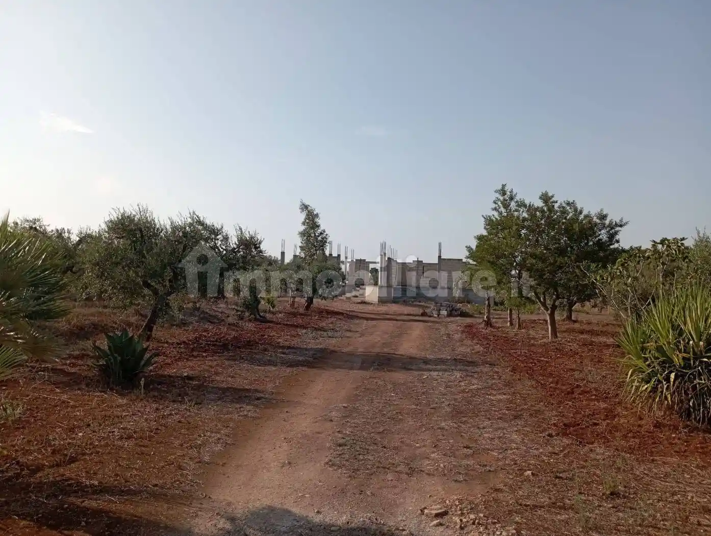 Rustico - Casale in vendita a Carmiano