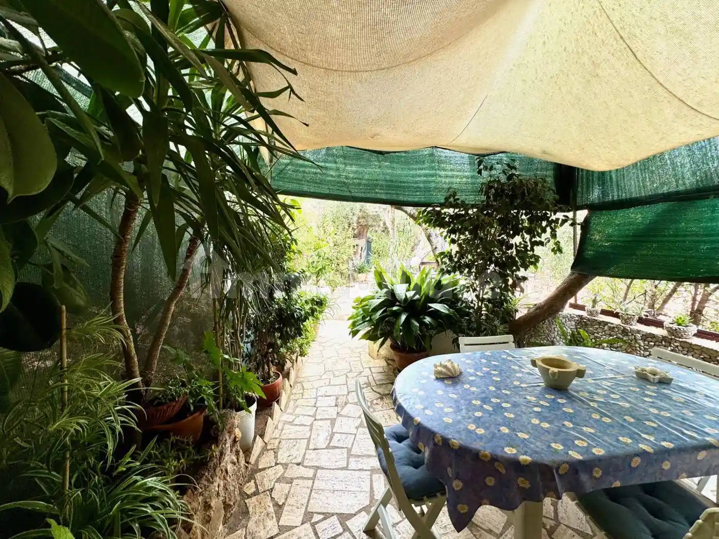 Rustico - Casale in vendita a Monte Argentario