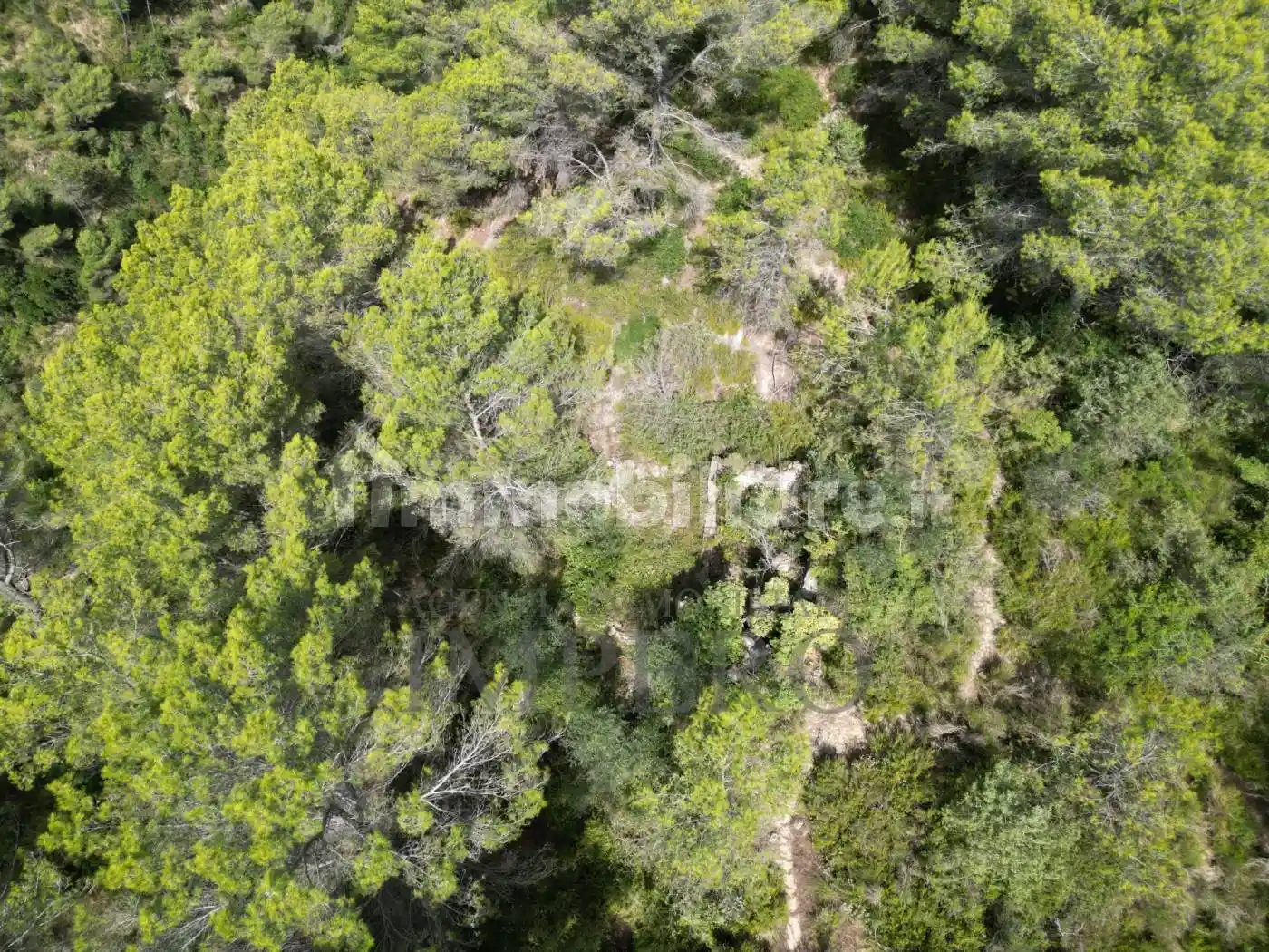 Rustico - Casale in vendita a Ventimiglia