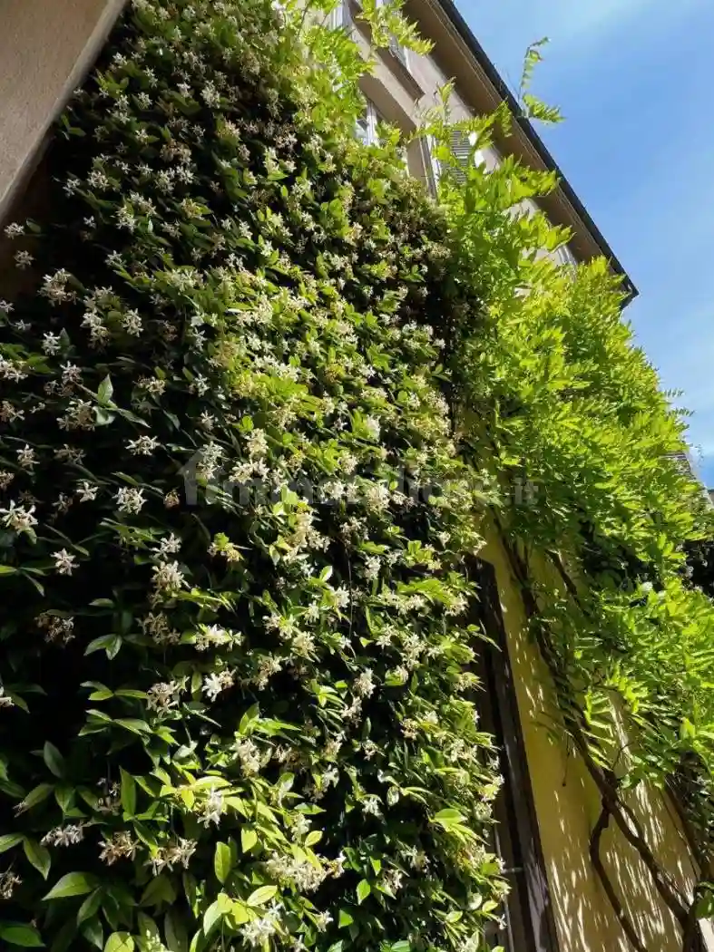 Palazzo - Edificio - foto 5