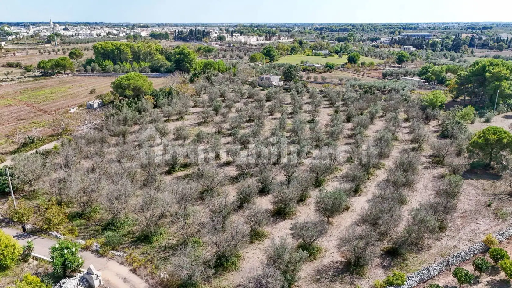 Masseria, da ristrutturare, 1500 m², Castrignano de' Greci - foto 5