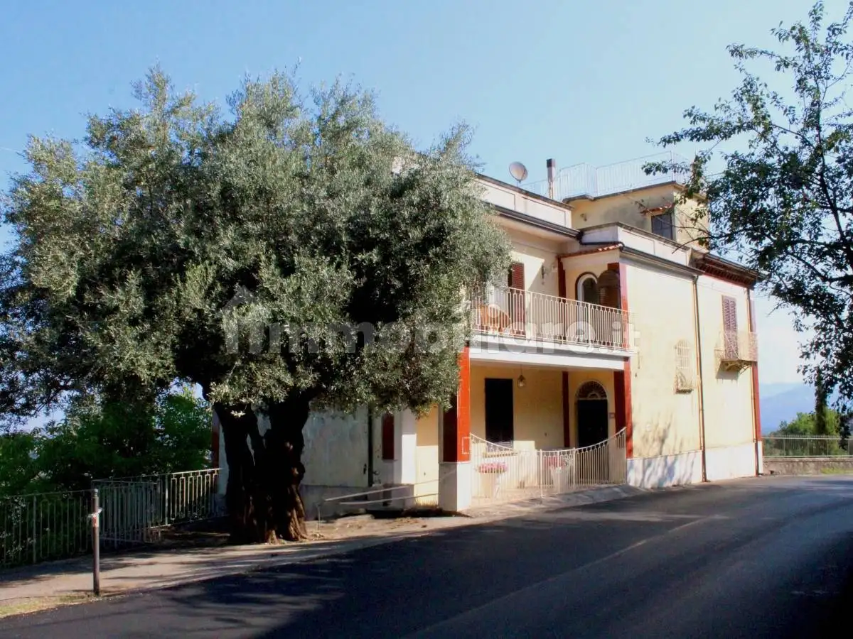 Villa in vendita a Laureana Cilento