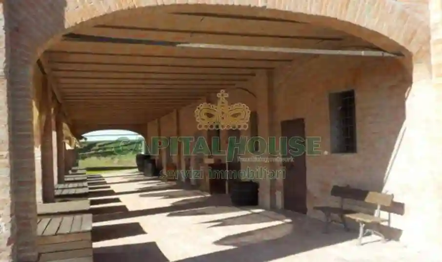 Rustico - Casale - foto 5