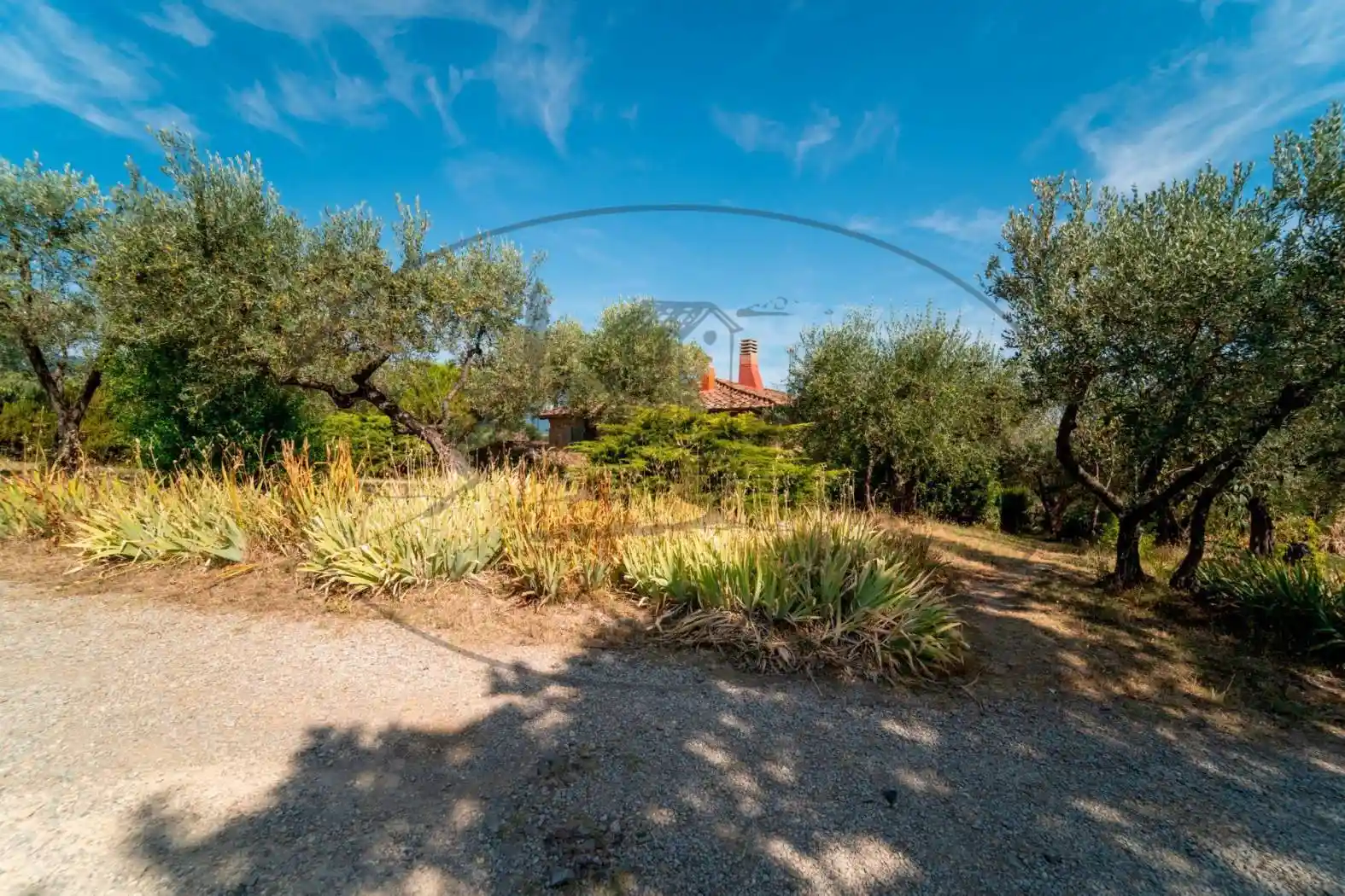 Rustico - Casale in vendita a Cavriglia