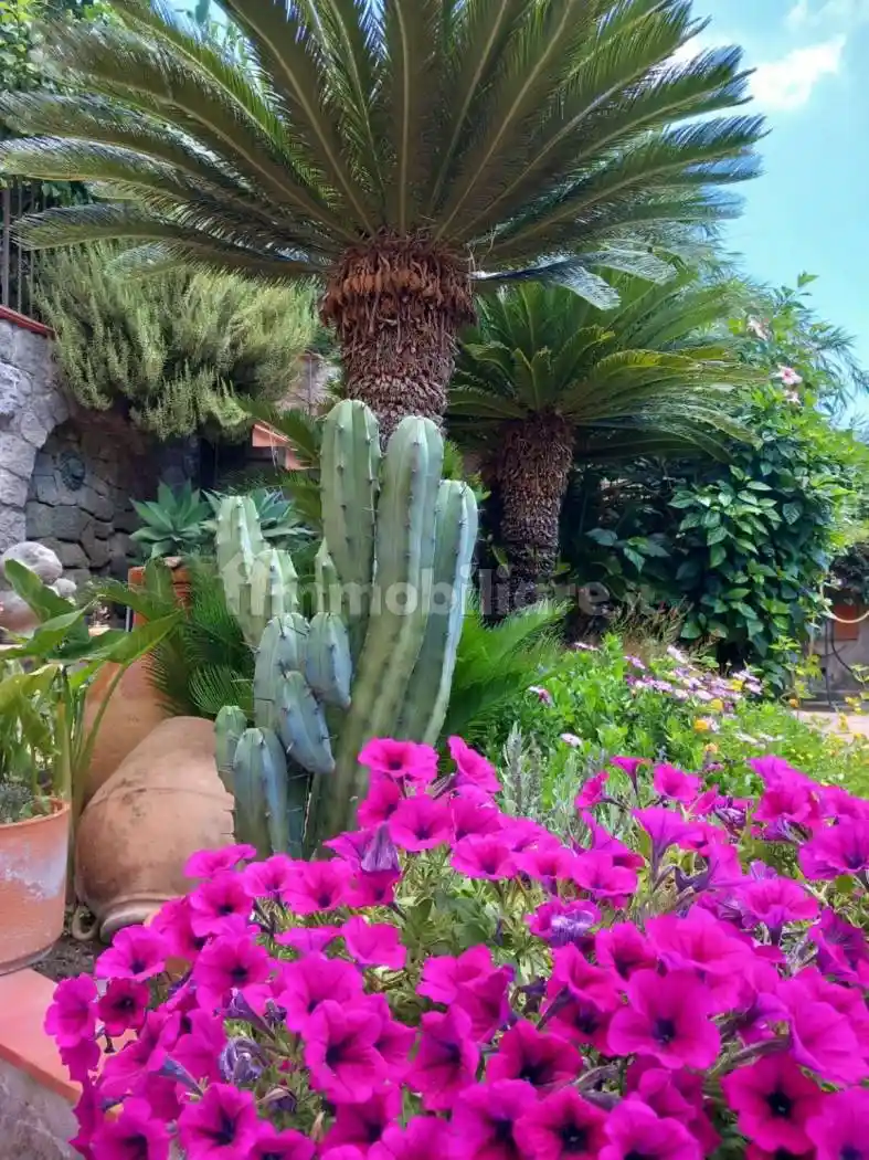 Villa in vendita a Serrara Fontana