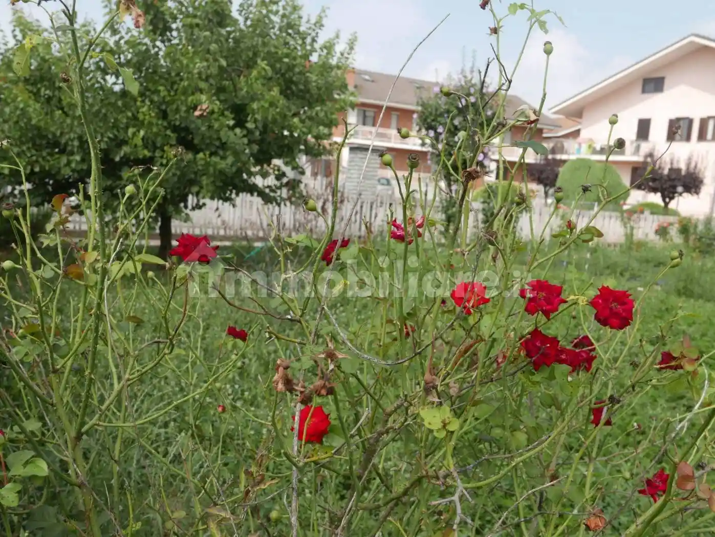 Appartamento in vendita a Piscina