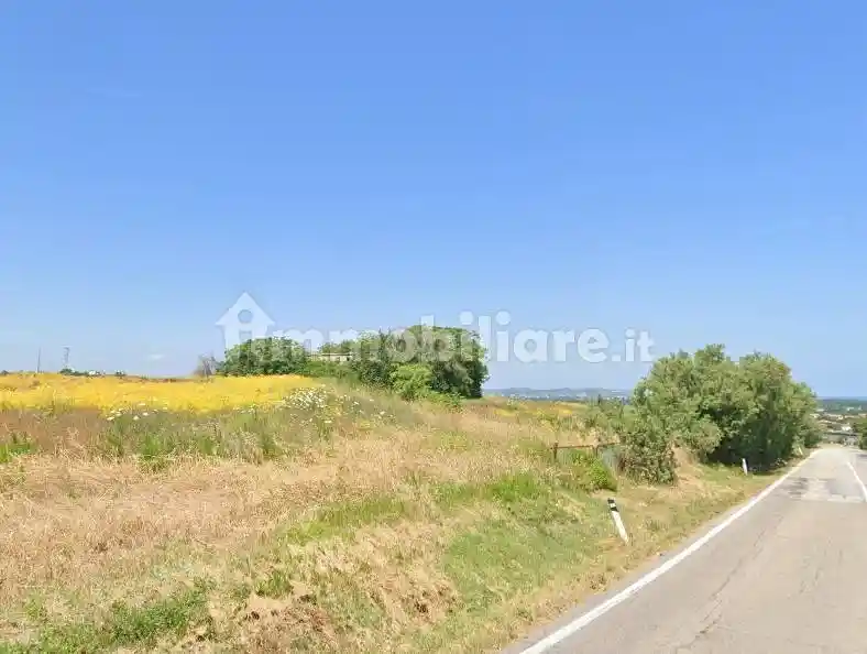 Rustico Località Caminate, Caminate, Fano - foto 3