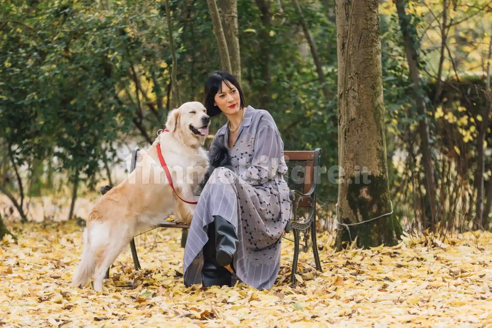 Villa in vendita a Cassola