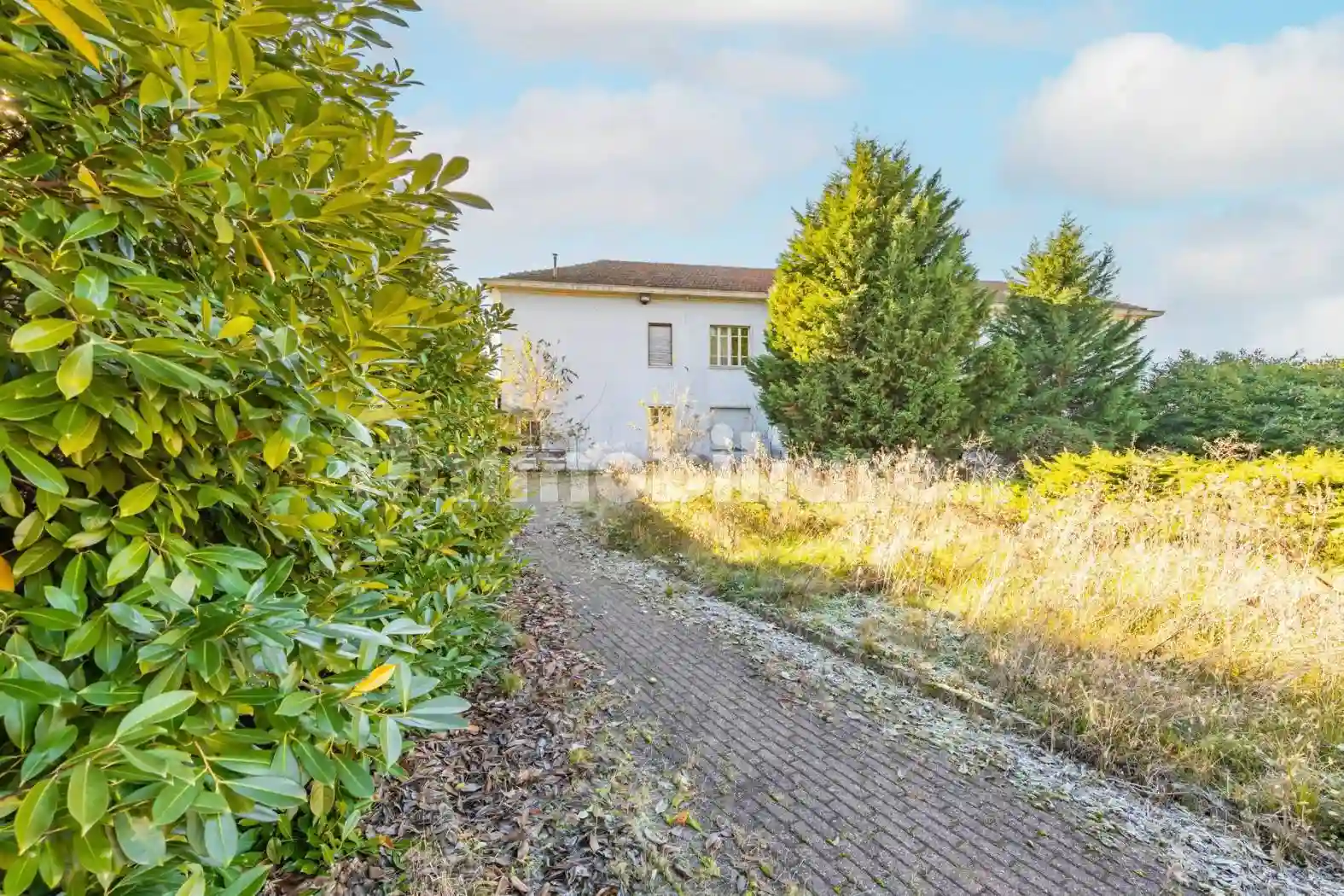 Palazzo - Edificio - foto 2