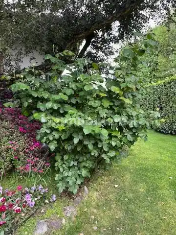 Appartamento corso Magenta, Cadorna - Castello, Milano - foto 5