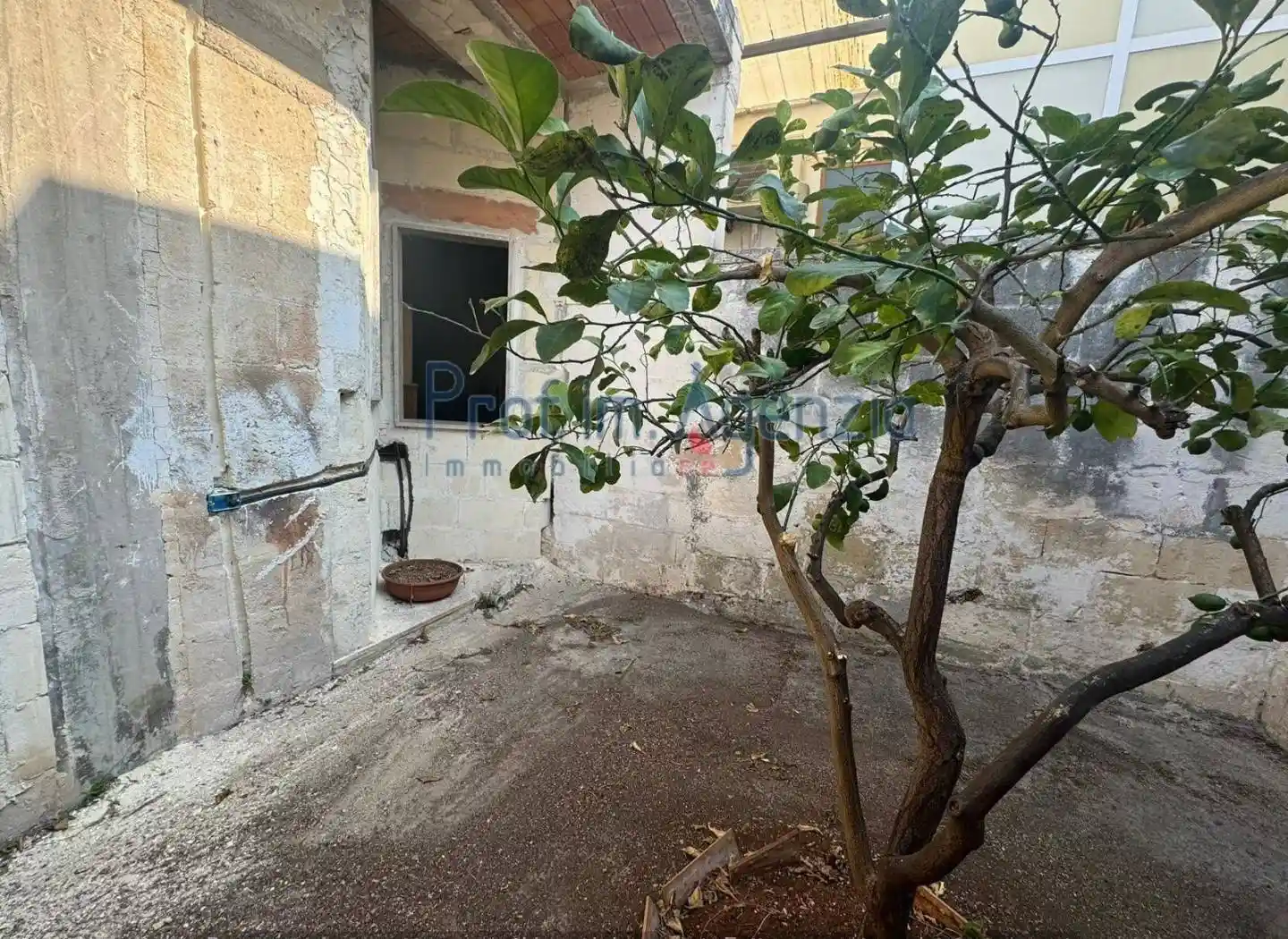 Casa indipendente in vendita a Carovigno