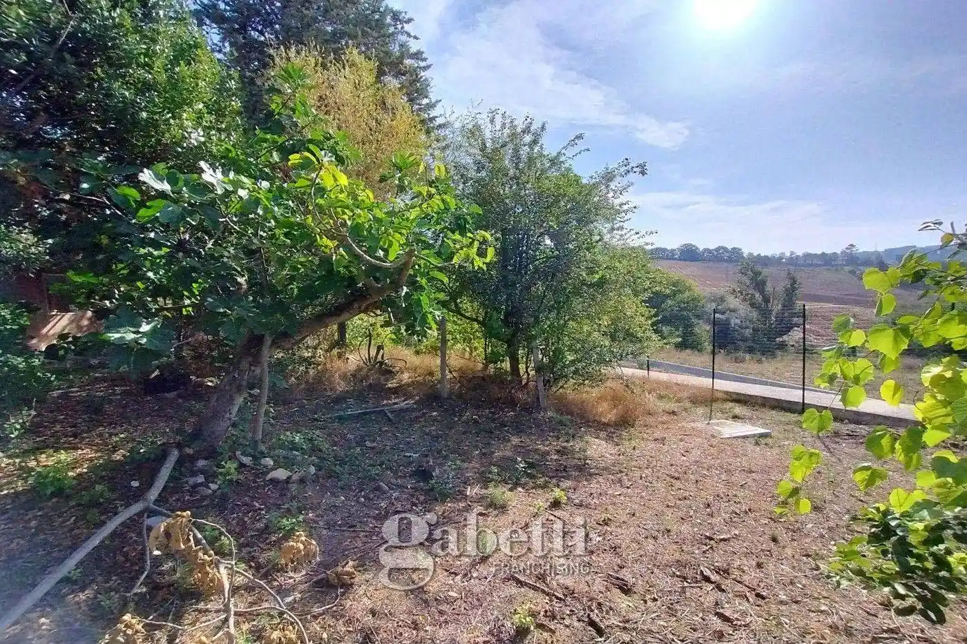 Terratetto unifamiliare Strada Comunale Calvario, Coste di Oratino, Calvario, Campobasso - foto 3